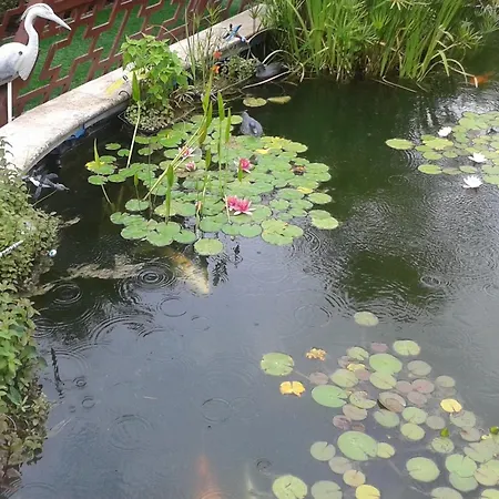 9 Hamman Sauna Piscine Chauffee Poss